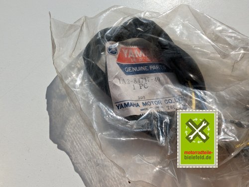 PXL_20240523_152245357